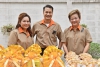 ทำบุญตักบาตรพระสงฆ์จำนวน 25 รูป เนื่องในโอกาสวันสถาปนาสำนักงานนโยบายและแผนพลังงาน ครบรอบ 25 ปี