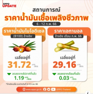 ราคาน้ำมันเชื้อเพลิงชีวภาพ